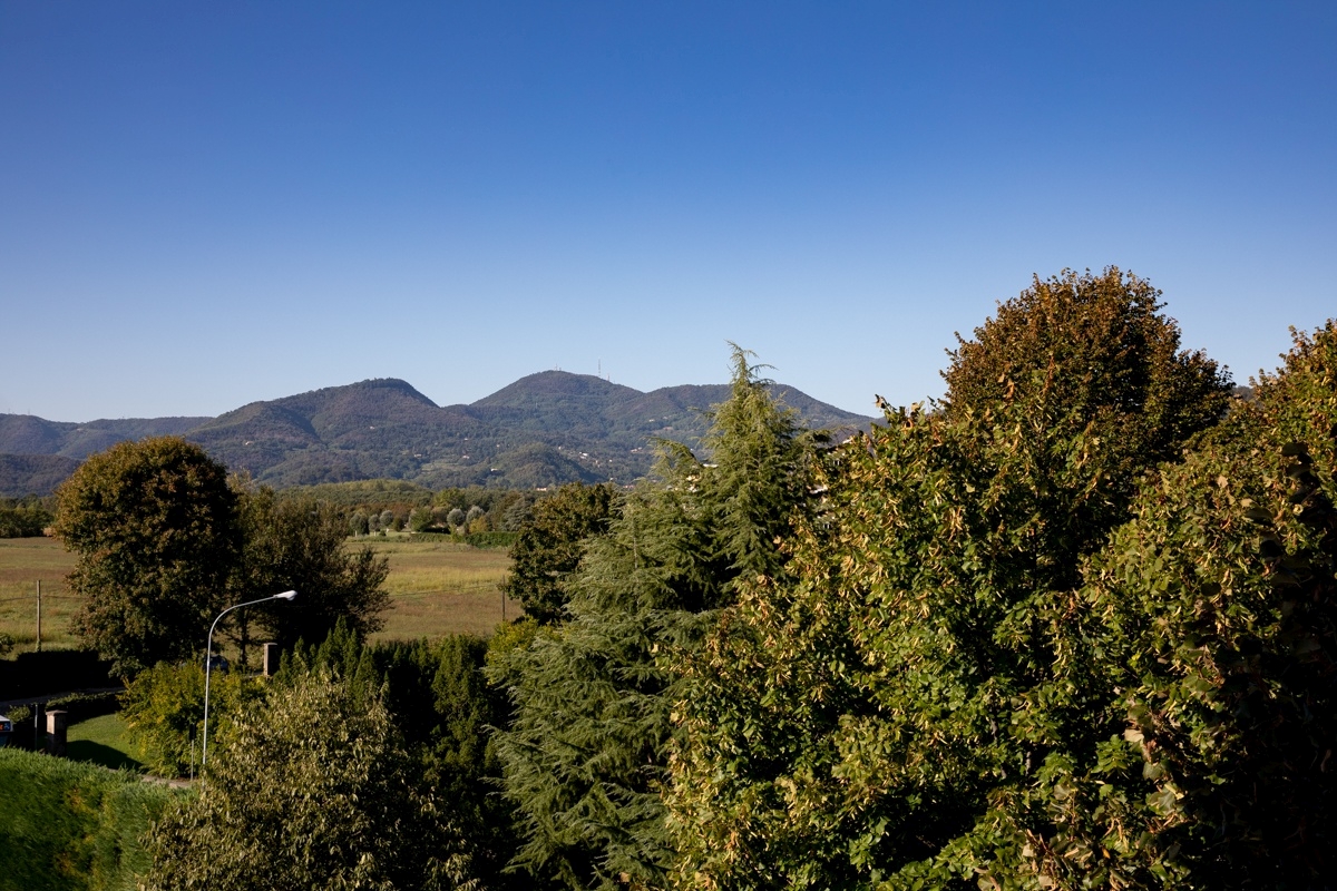 Colli Euganei
